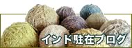 インド駐在ブログ