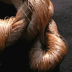 ムガ蚕、ムガシルク、Muga silk